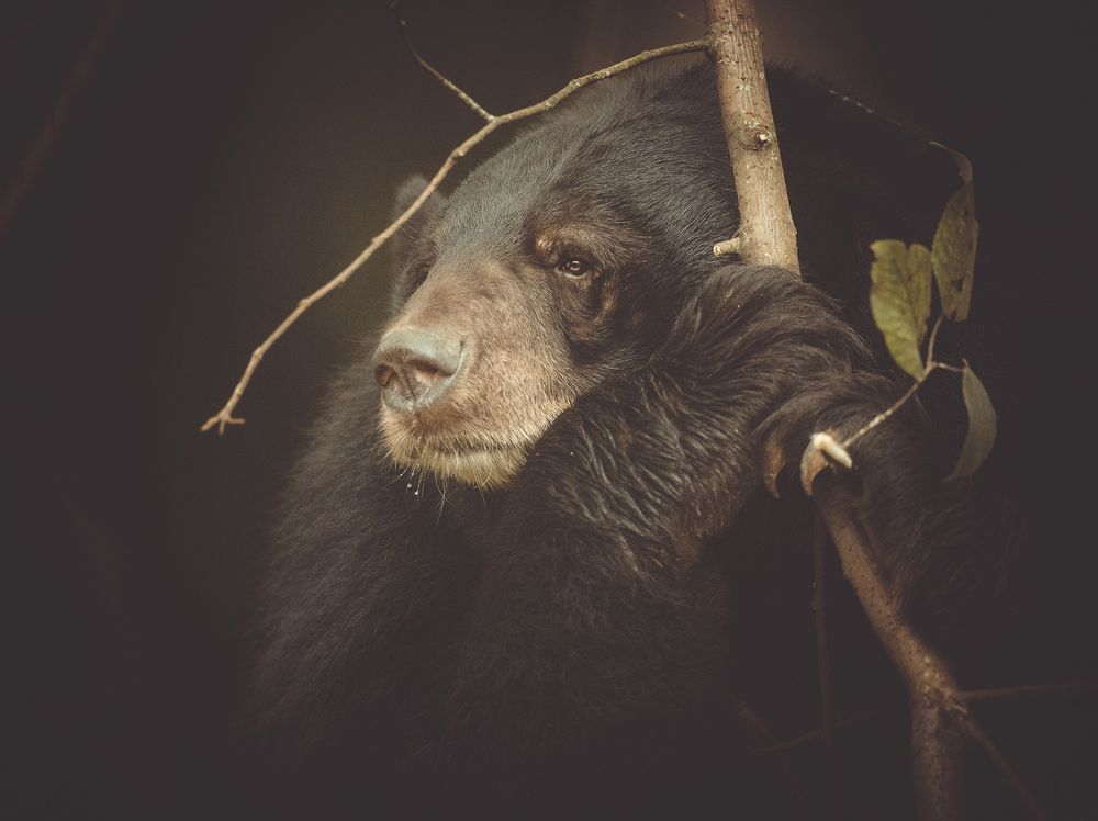 Photograph by Liu Lock