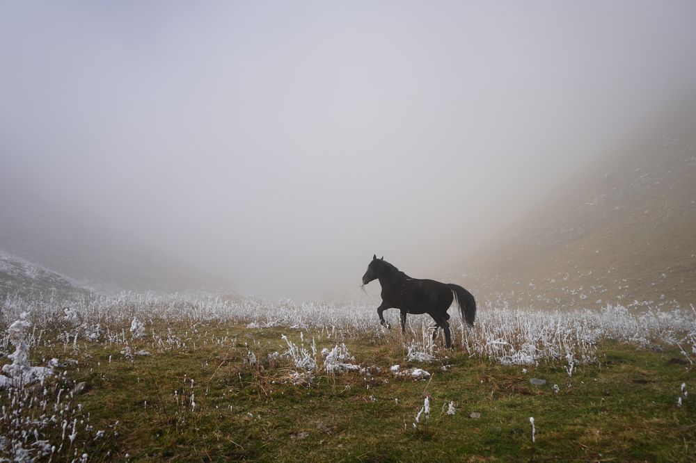 Photograph by Анжелика Гладких