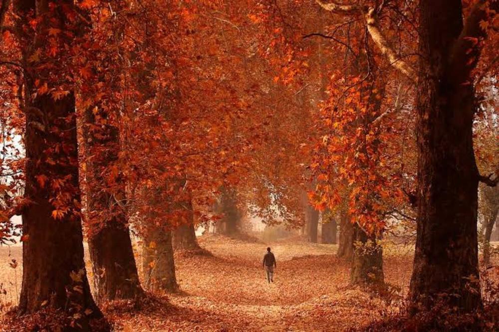 Photograph by Rana Mahboob Alam