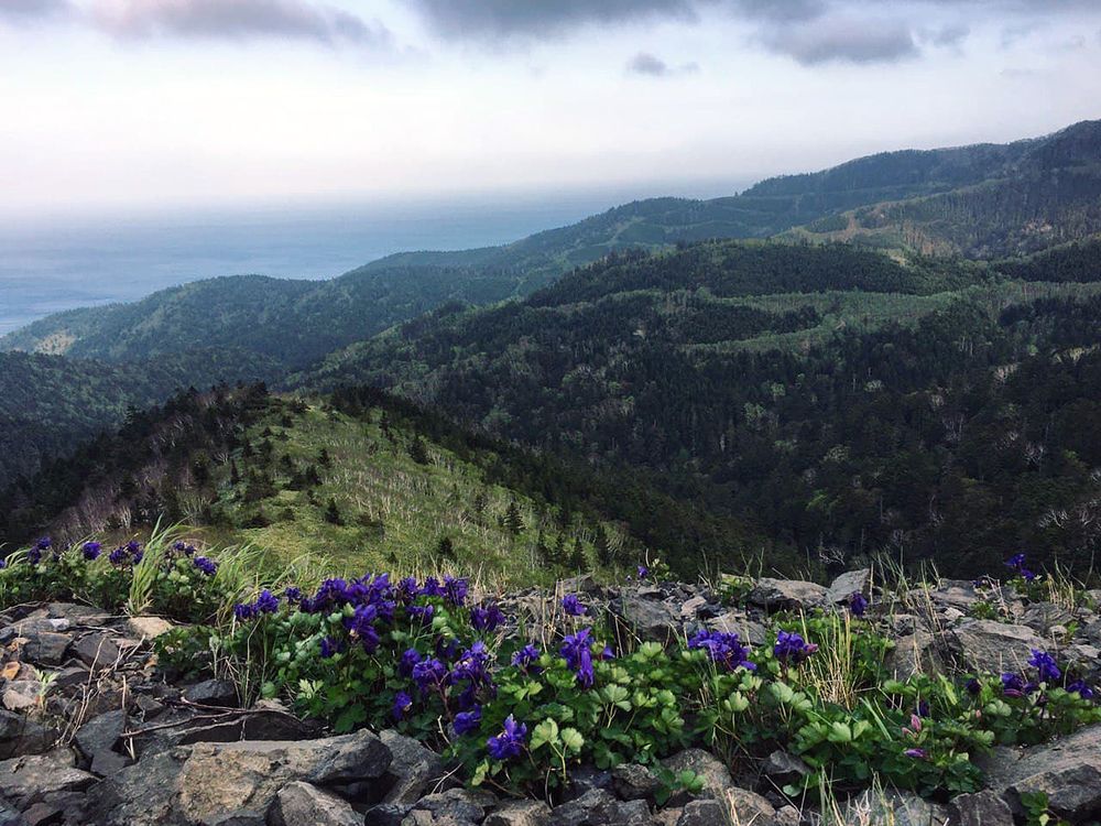 Photograph by Татьяна Моисеева