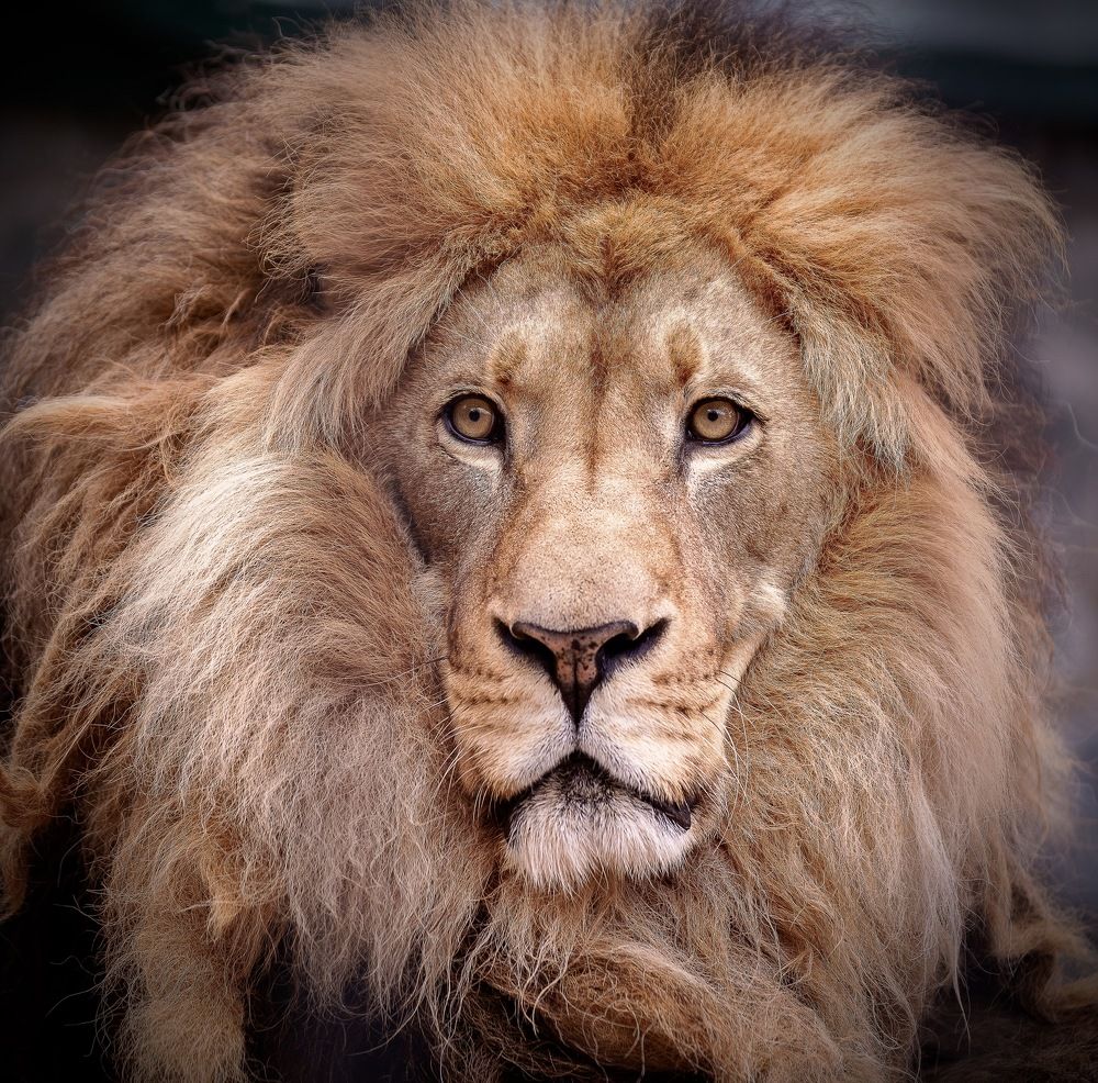 Photograph by Павел Пинаев