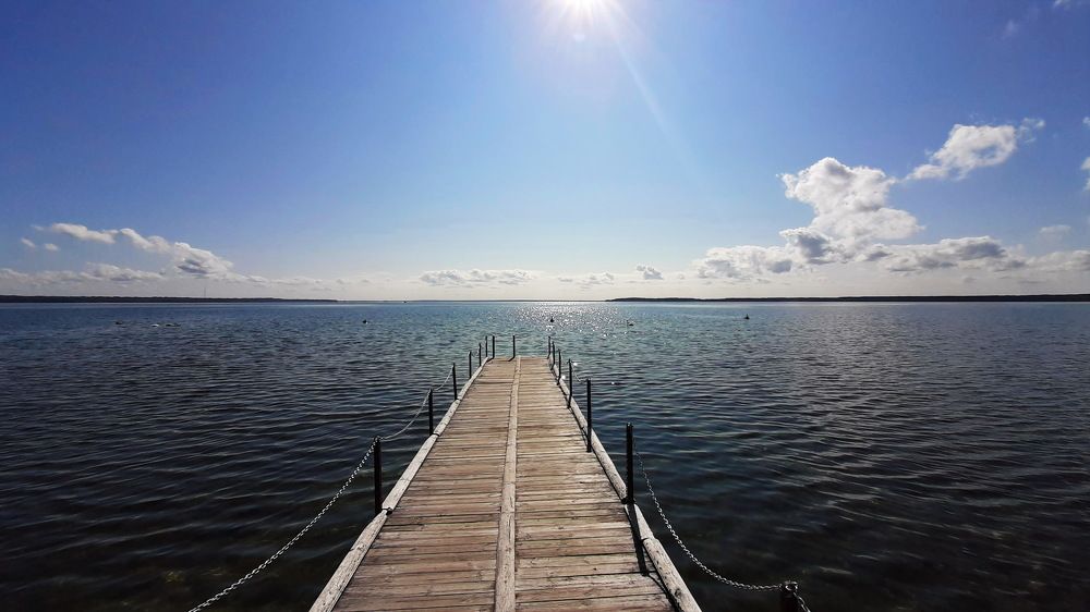 Фотография автора Моисеева Ольга