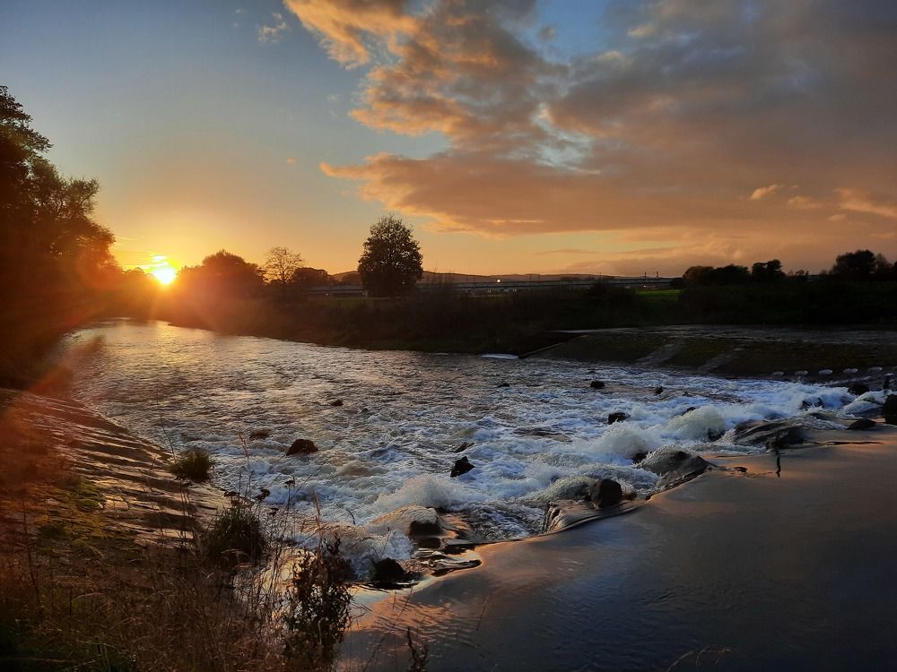 Photograph by Alexandra Fahn