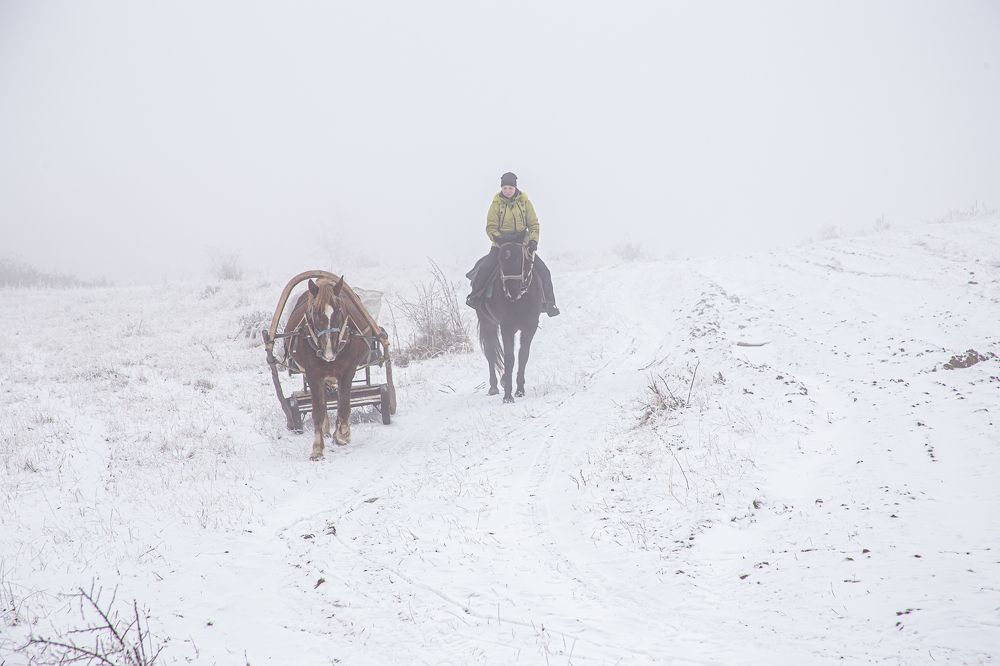 Photograph by Анатолий Мигов