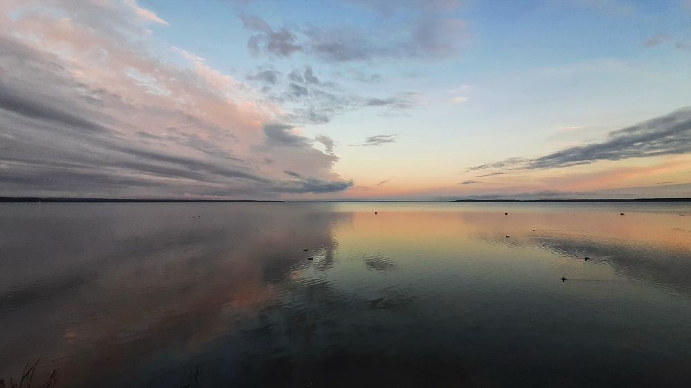 Фотография автора Моисеева Ольга