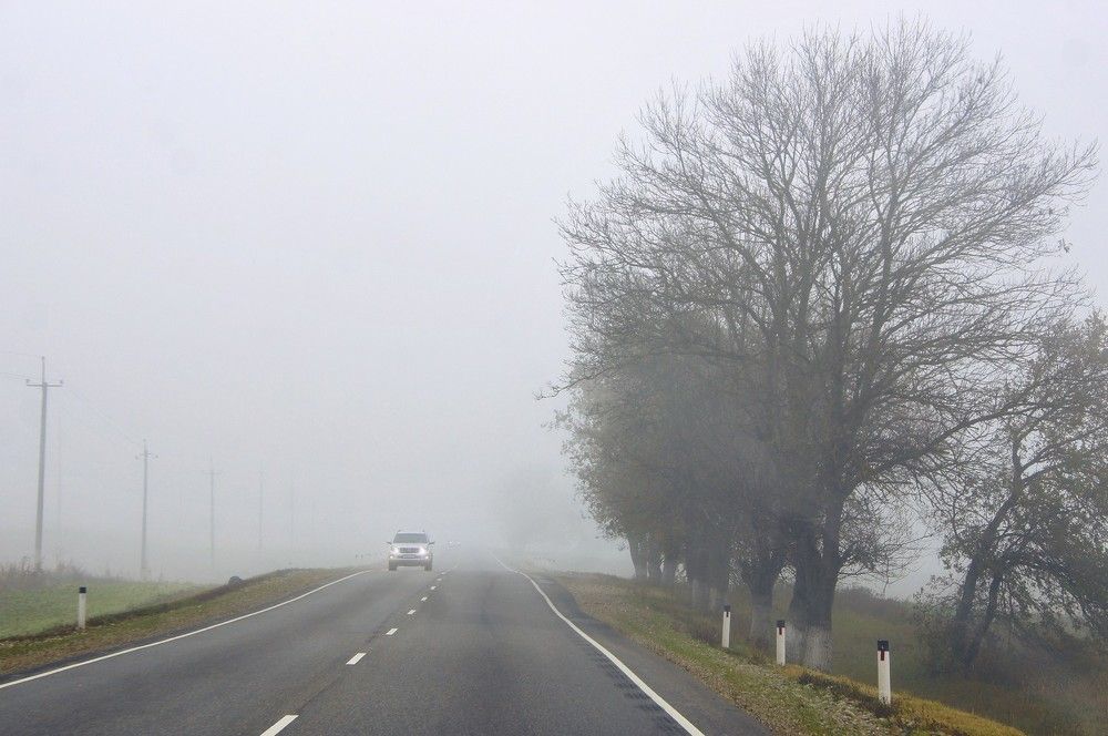 Photograph by Евгений Киселев