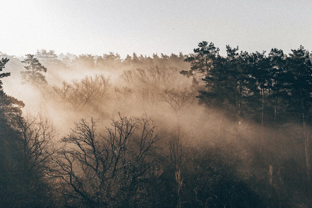 Photograph by Наталья Домненко