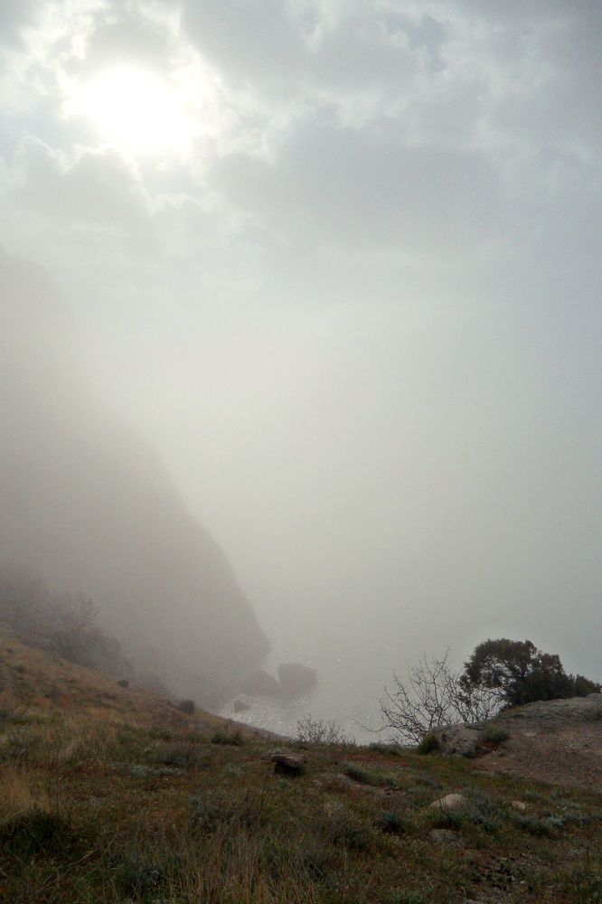 Фотография автора Алина Прищепа