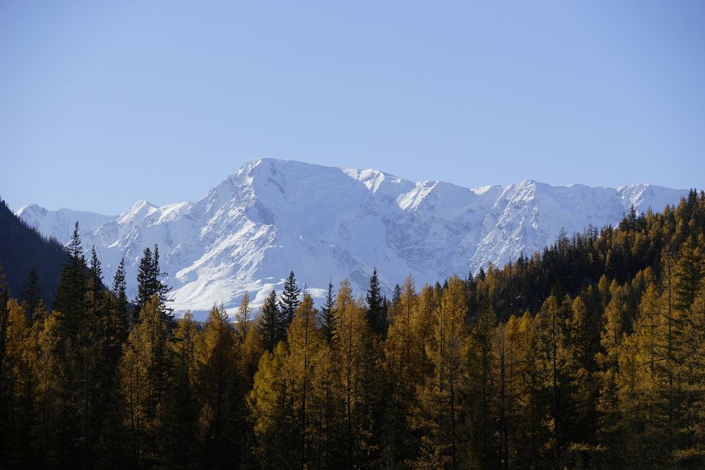 Фотография автора Надежда Думина