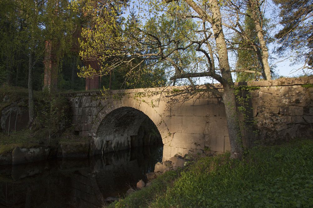 Photograph by Галина Щипакина