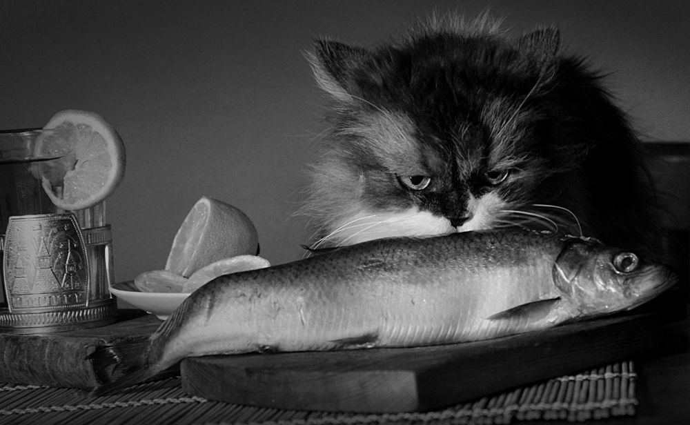 Photograph by Зоя Быкова