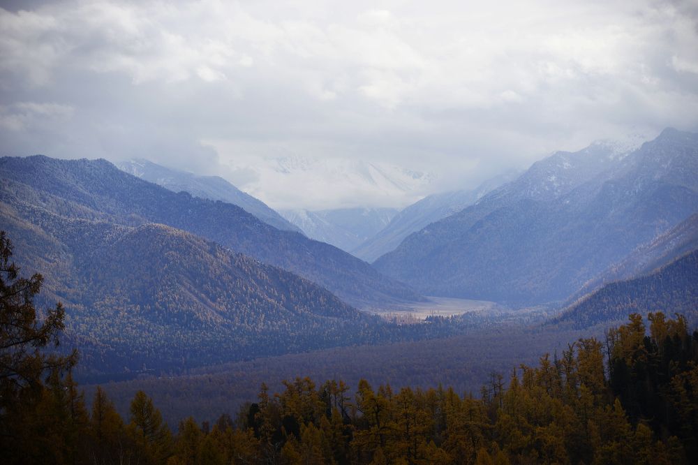 Фотография автора Надежда Думина