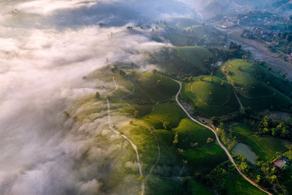 Midland early morning