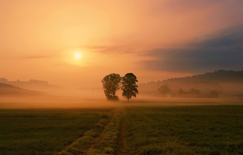 Photograph by Elena Wymann