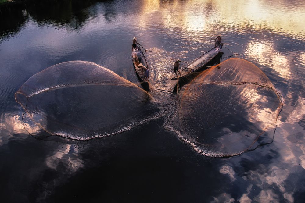 Catch fish in the river