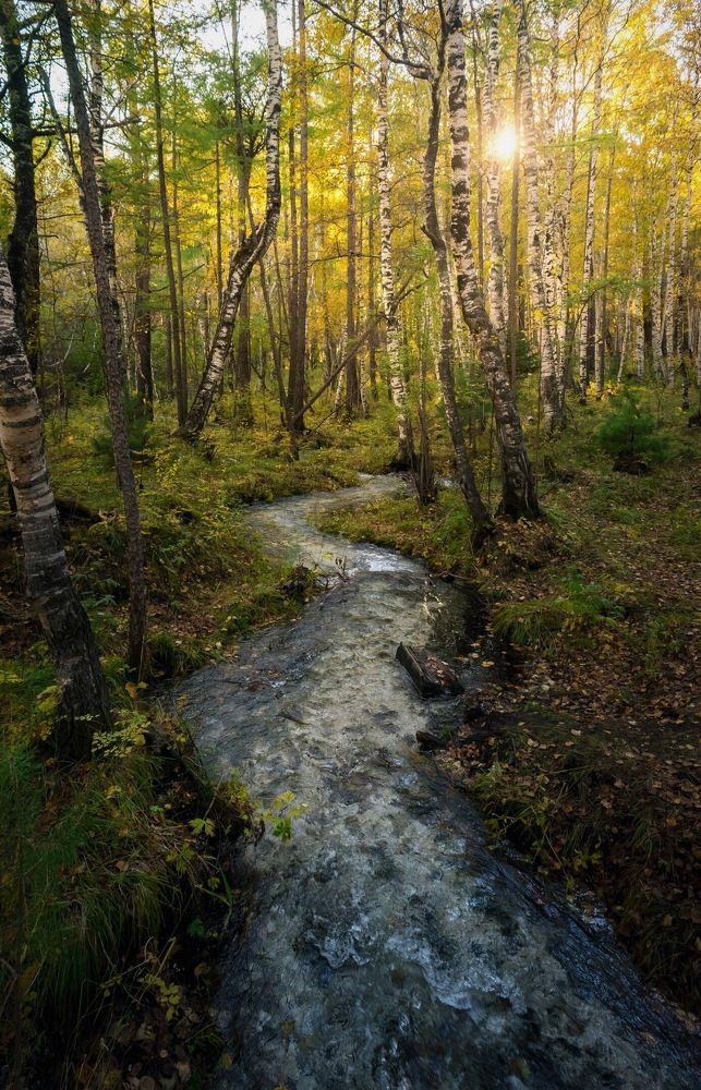 Photograph by Екатерина Назарова