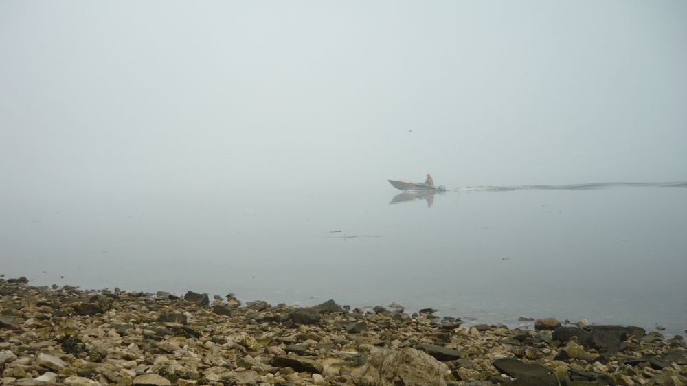 Photo #6870399