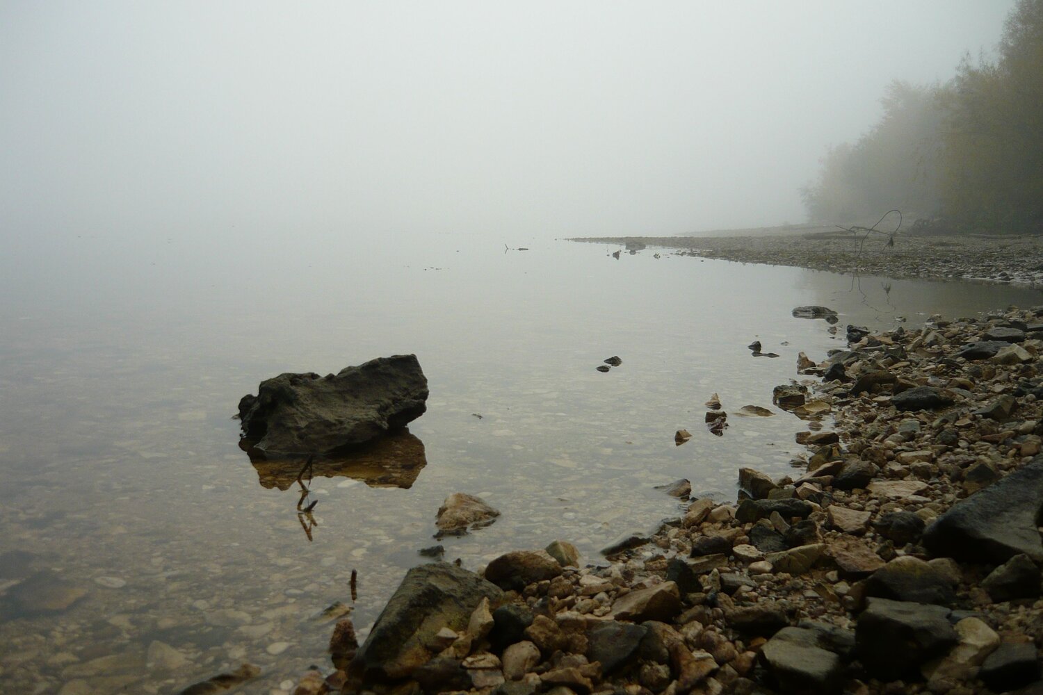 Photo #6870401