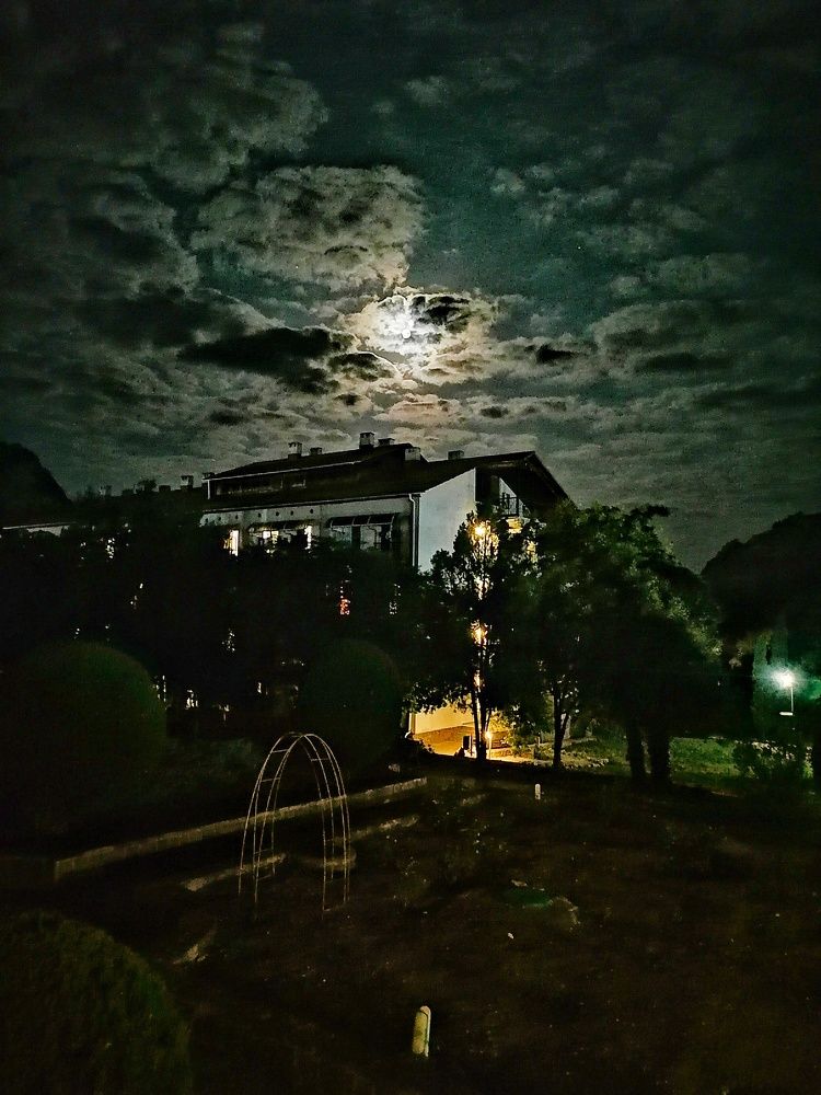 Photograph by 