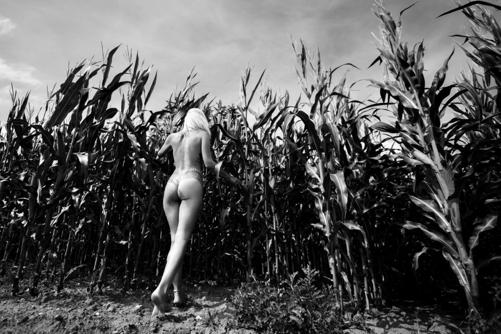 Photograph by Martynas Galdikas