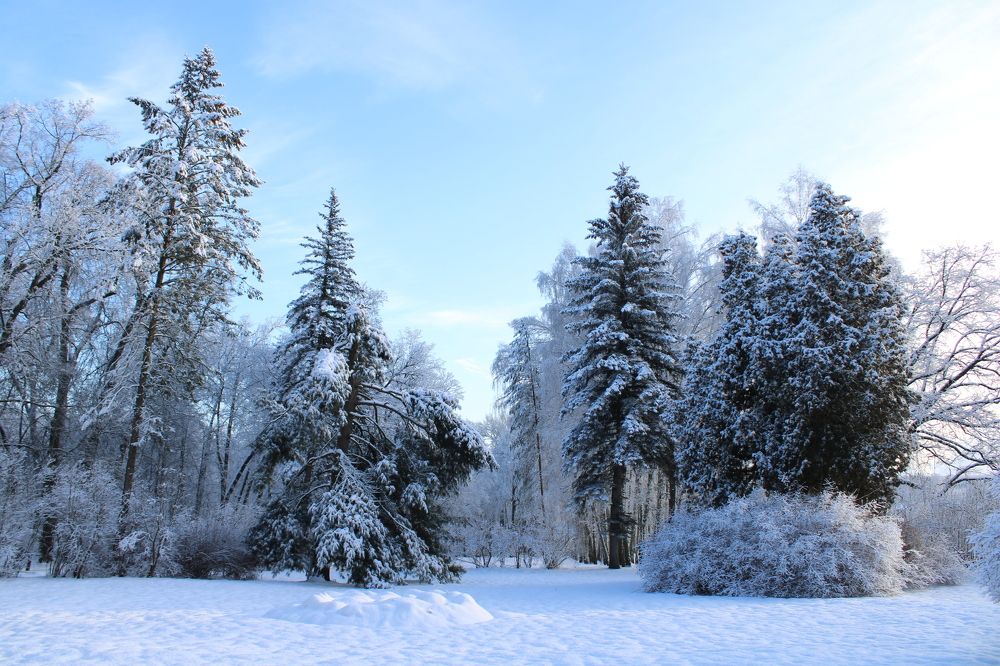 Фотография автора Иван Кириллов