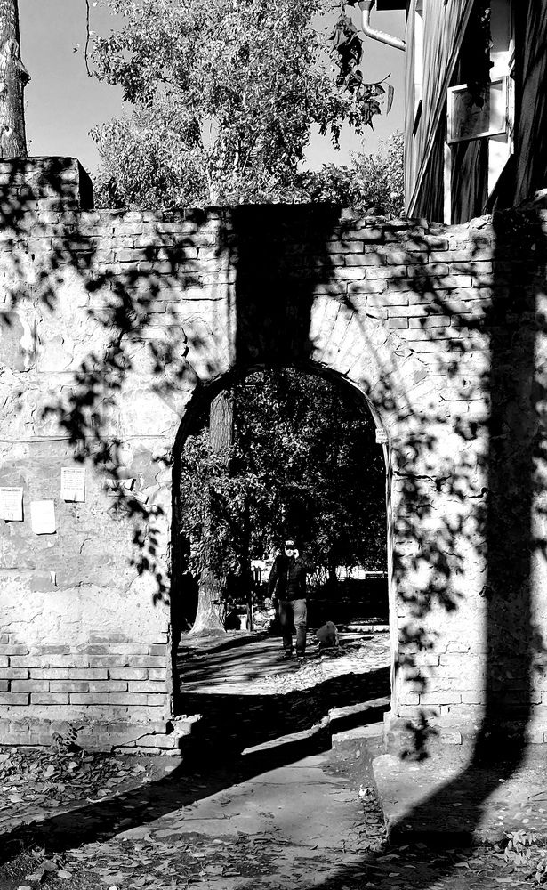 Photograph by Елена Швецова