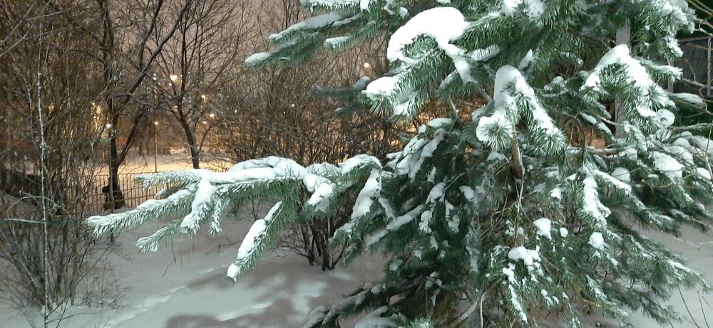 Фотография автора Дмитрий Нефёдов