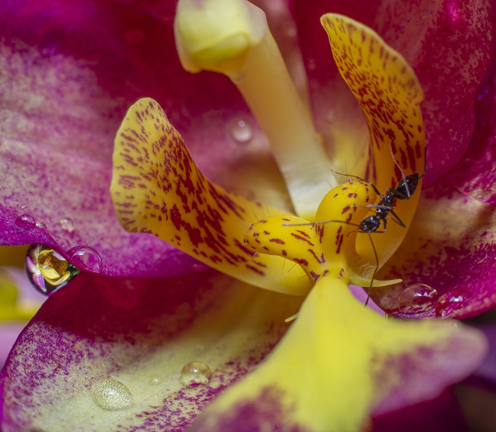 Фотография автора Sasindu Pramuditha