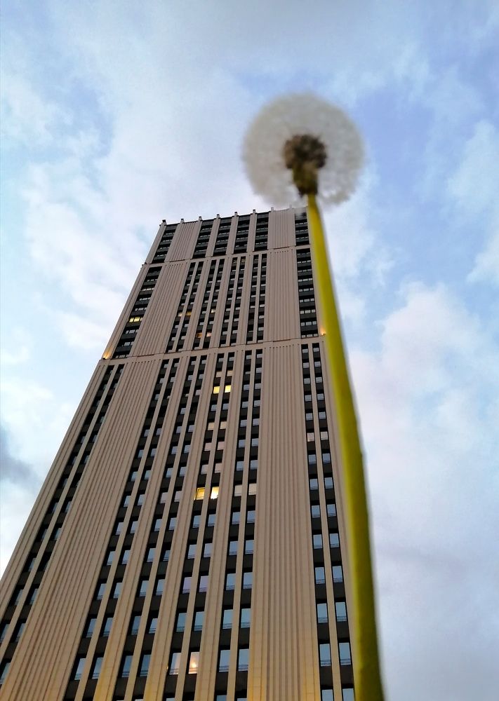 Photograph by Светлана Веселовская