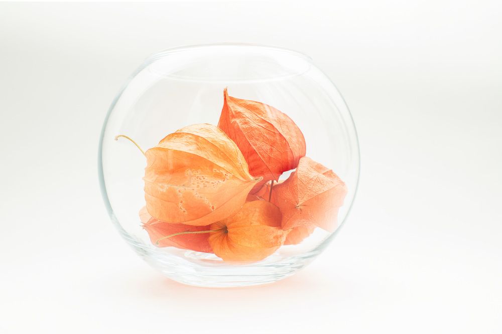 Photograph by Екатерина Абросова