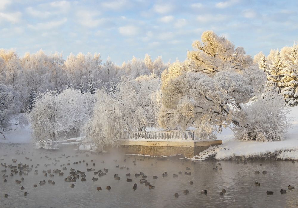 Морозный денек