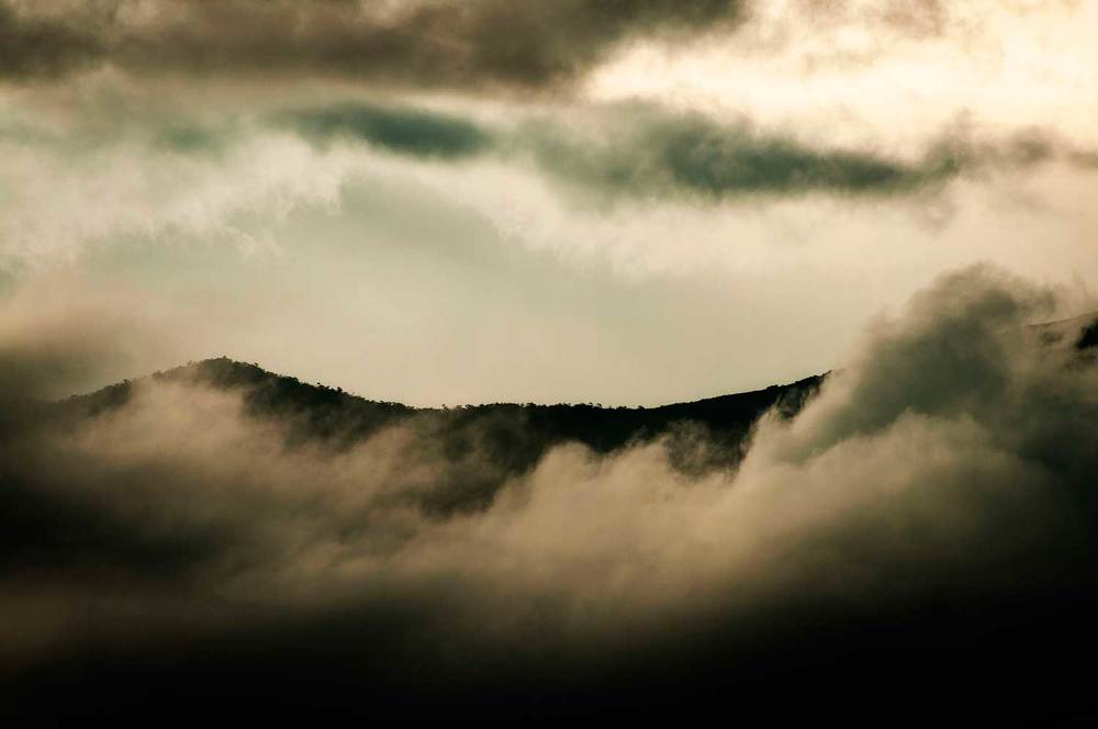 THE MOUNTAIN FOG