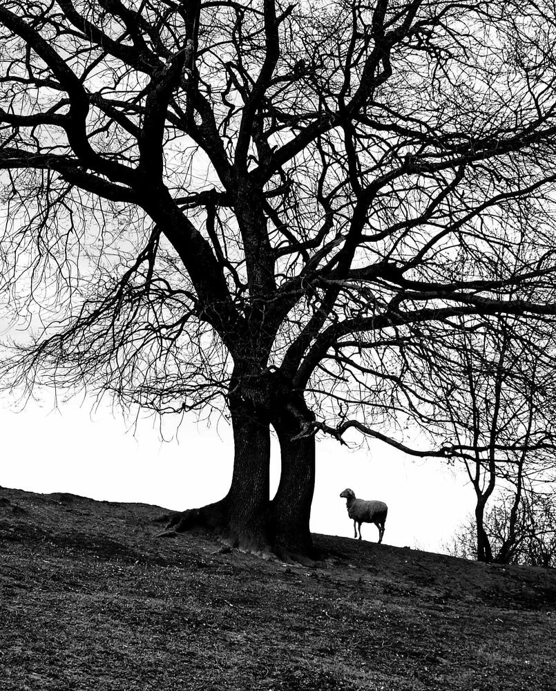 Photograph by Анна Корытина