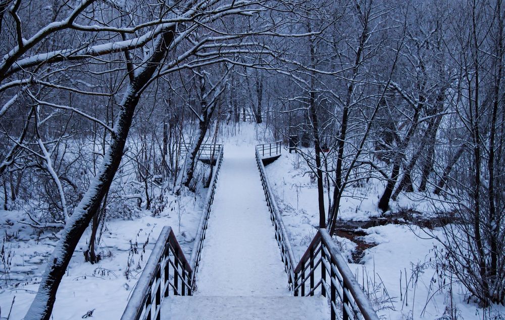 Зимний мост