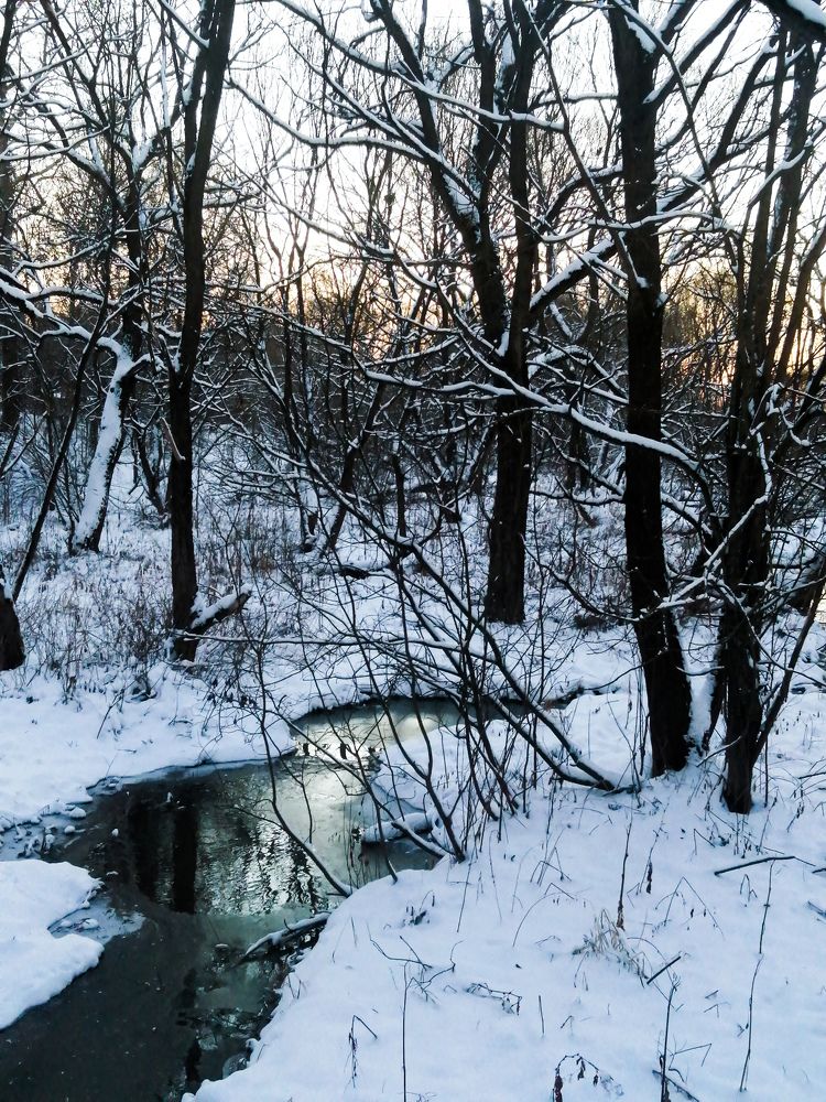 Фотография автора Анатолий Ефанкин
