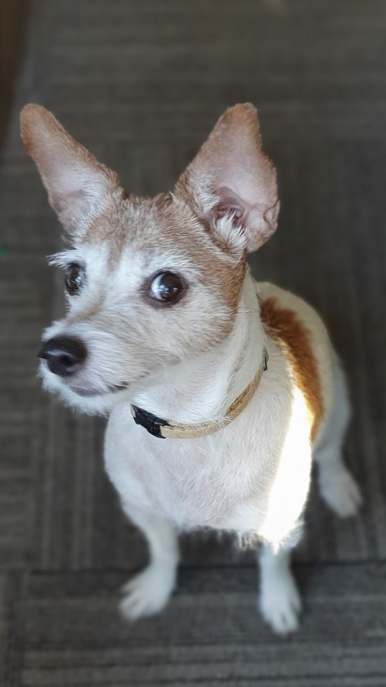 Фотография автора Angun Angusha