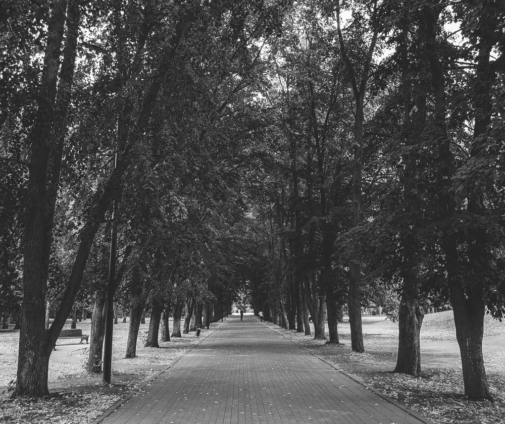 Фотография автора Артём Солодухин