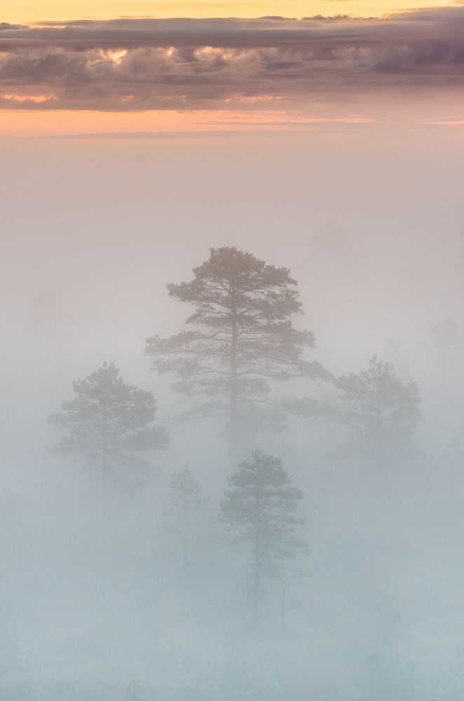 Photograph by Nikolai Mordan