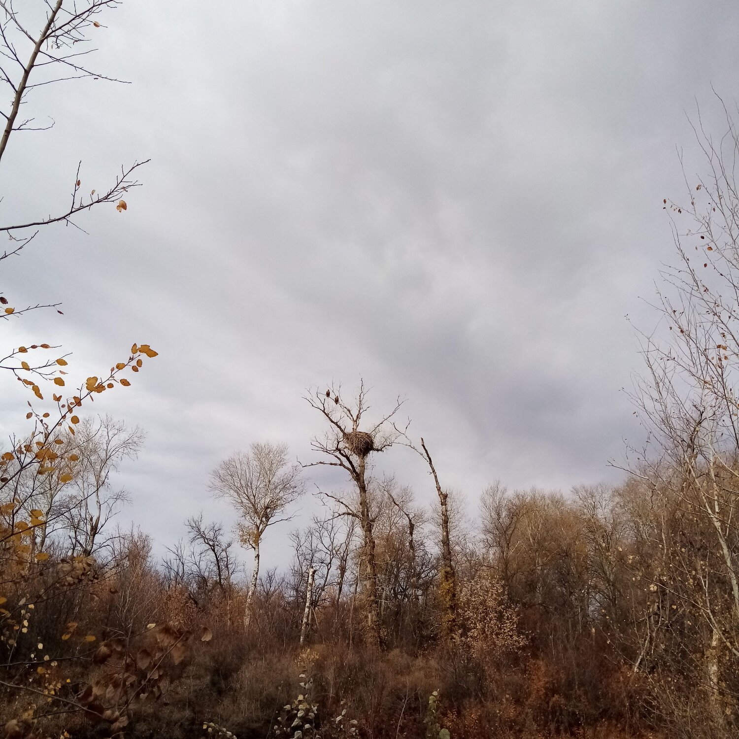 Photo #6870995