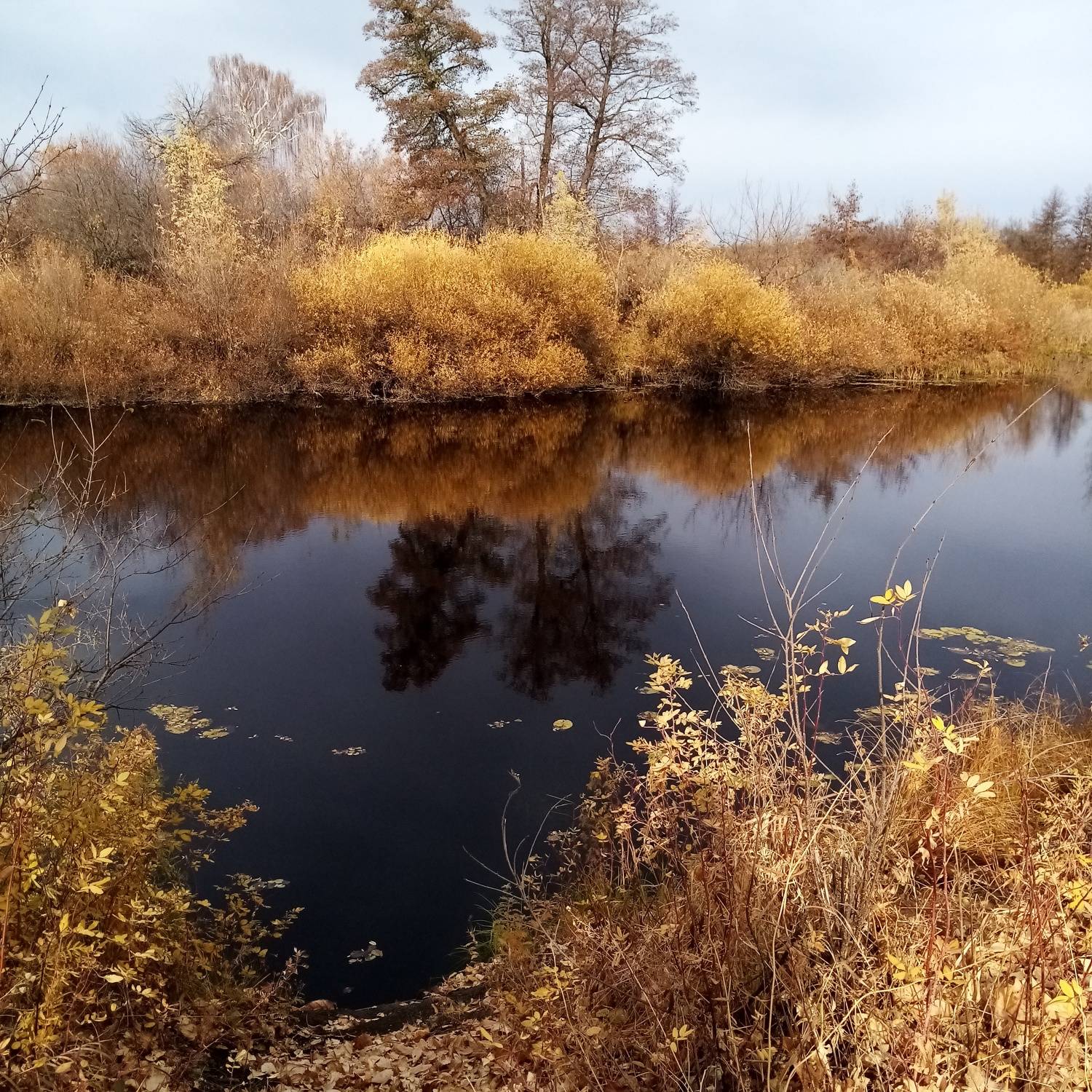 Photo #6871003