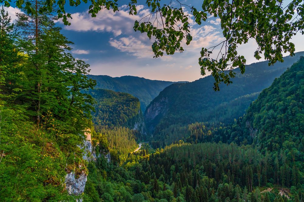 Photograph by сергей поспелов