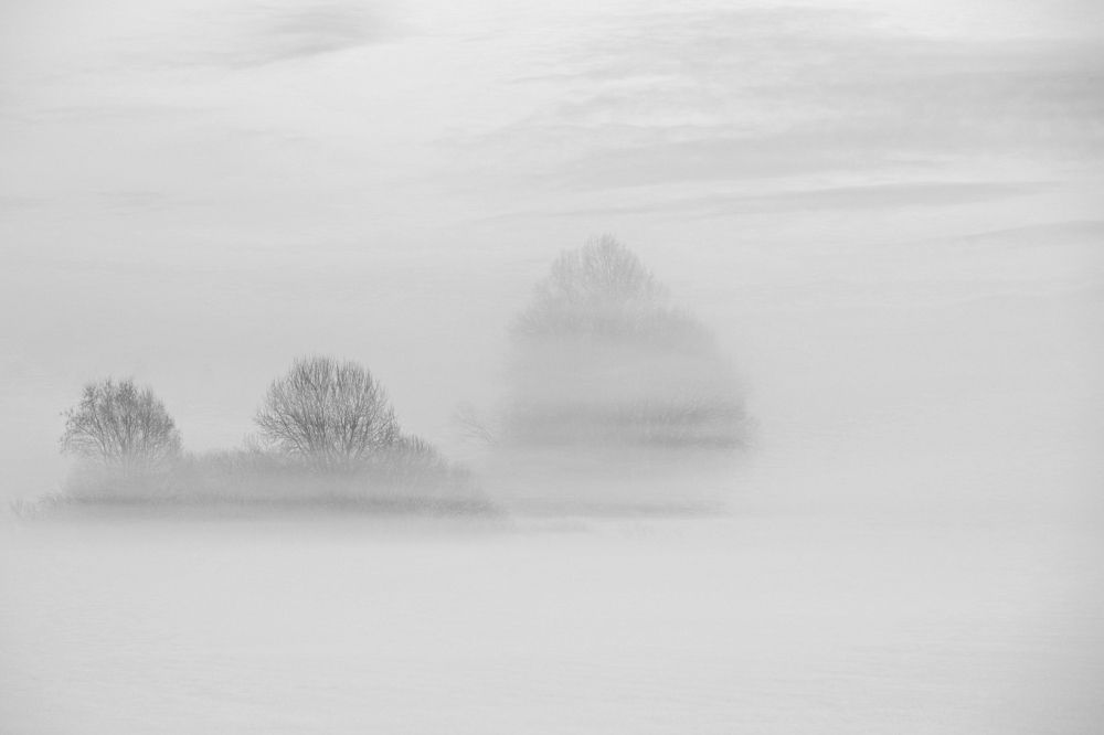 Foggy and cold December.