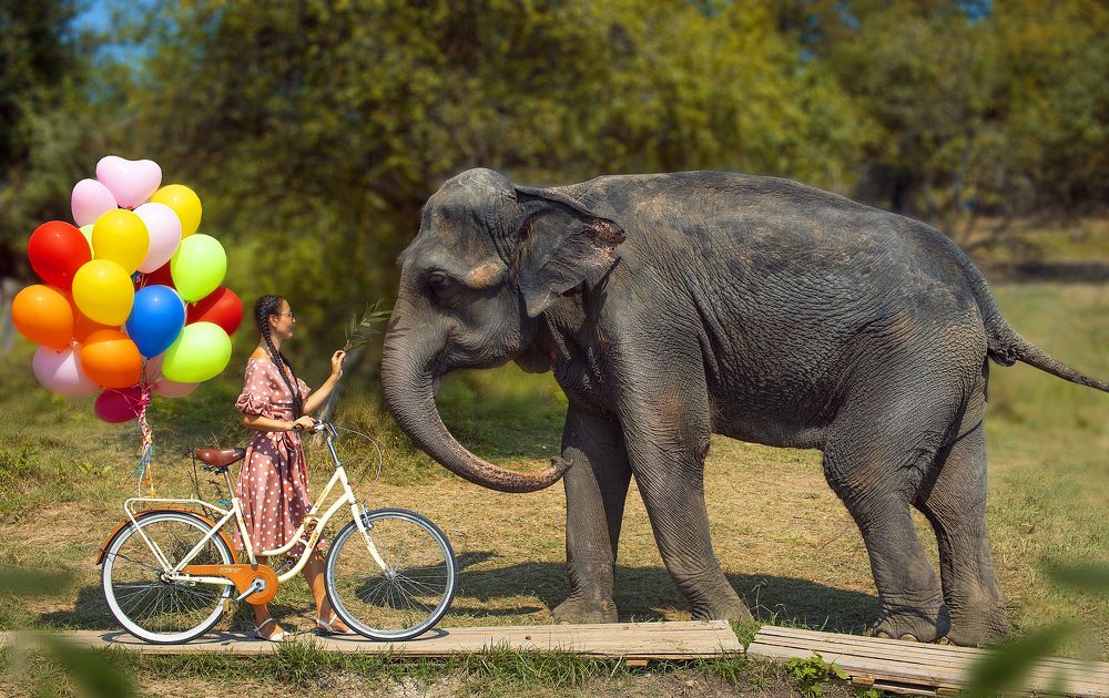 Photograph by Игорь Филонов