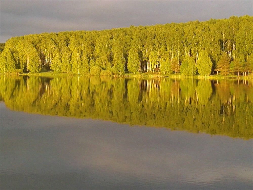 Фотография автора Елена Пикатова