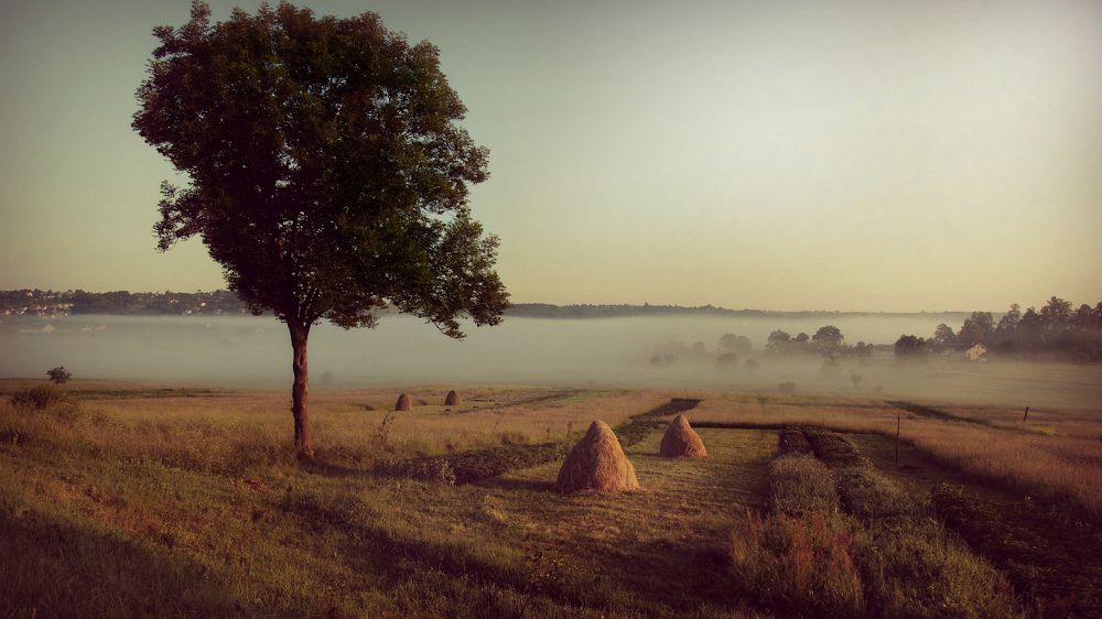 Фотография автора Віталій