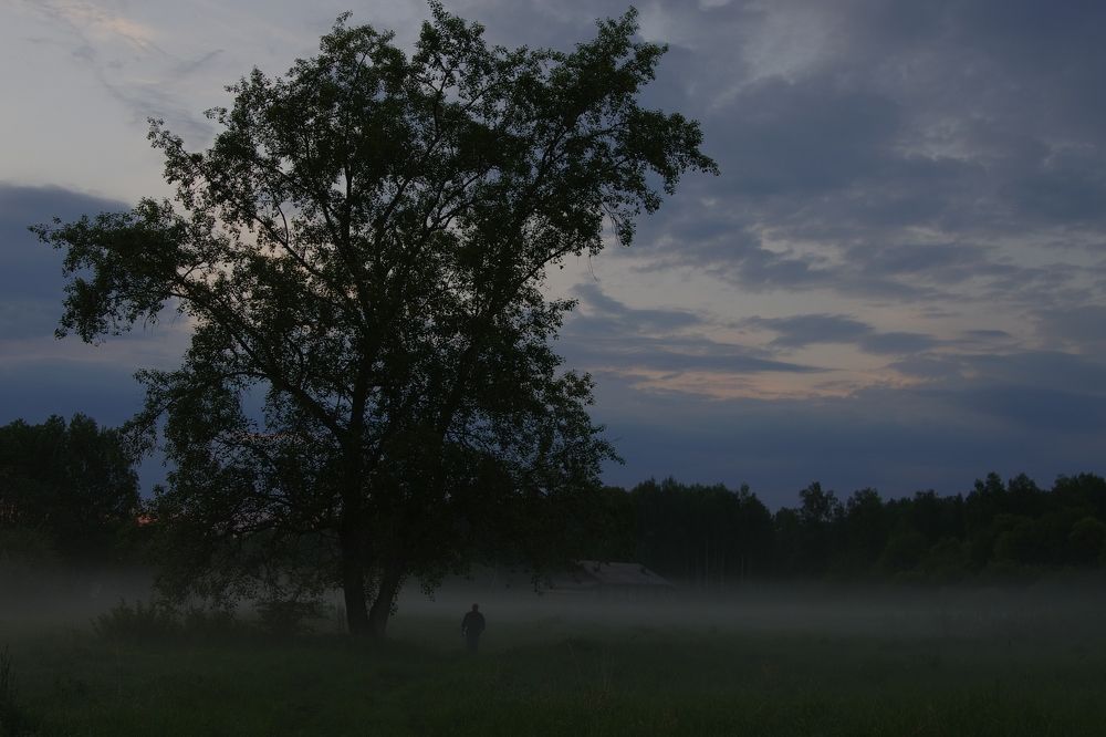 Photograph by Alexandr Bushmelev