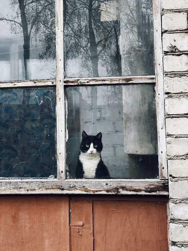 Photograph by Людмила Дорошева