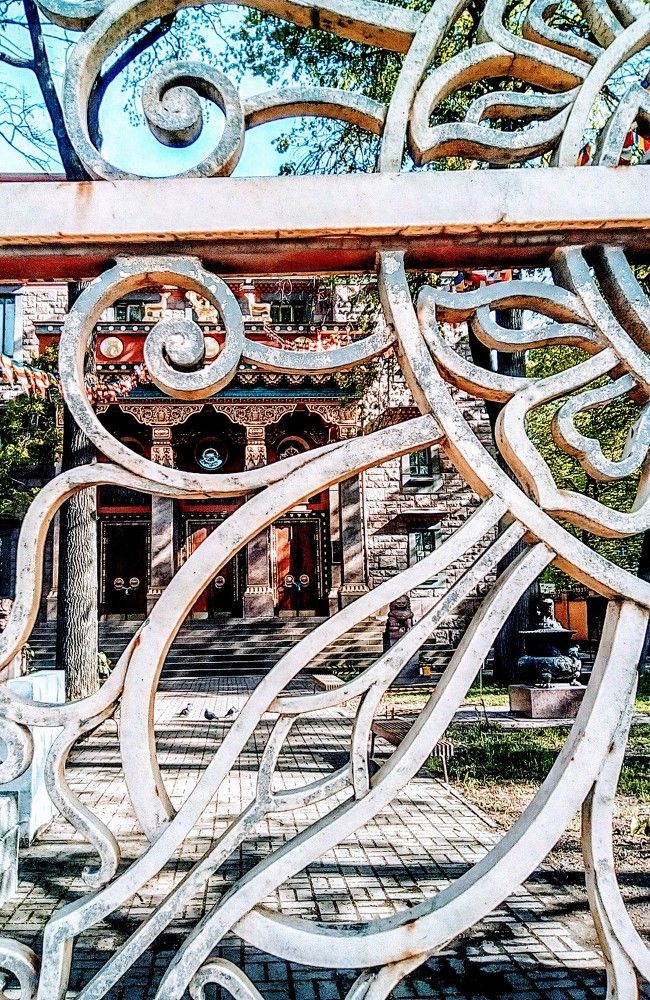 Photograph by Irina Mihailovskaya