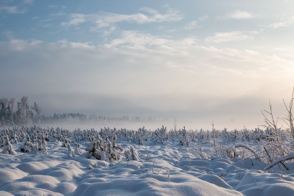 Photograph by Alexandr