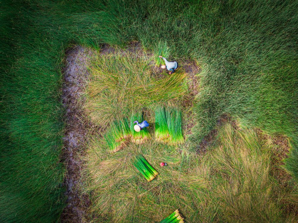 Photograph by Tue Nguyen